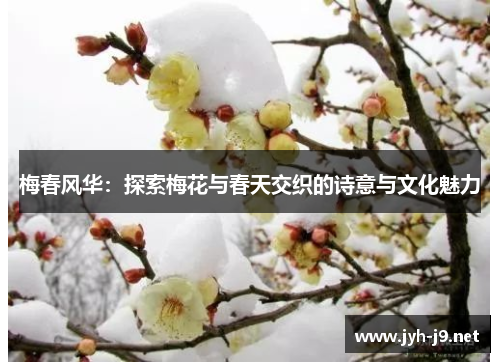 梅春风华：探索梅花与春天交织的诗意与文化魅力